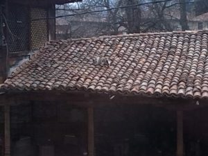 IMG_20140301_154854