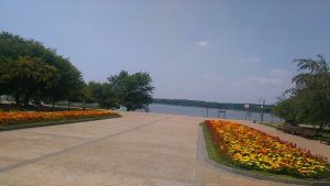 Garden to  Danube
